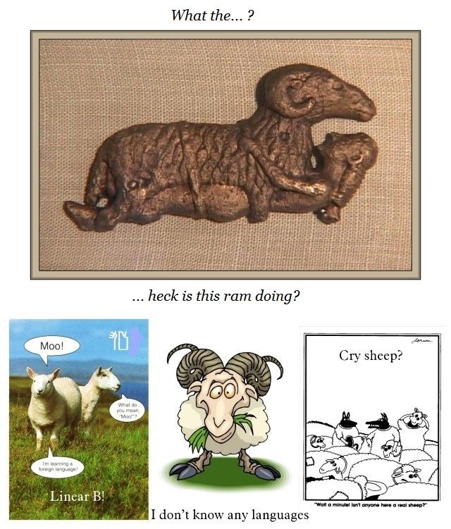 sheep humour a