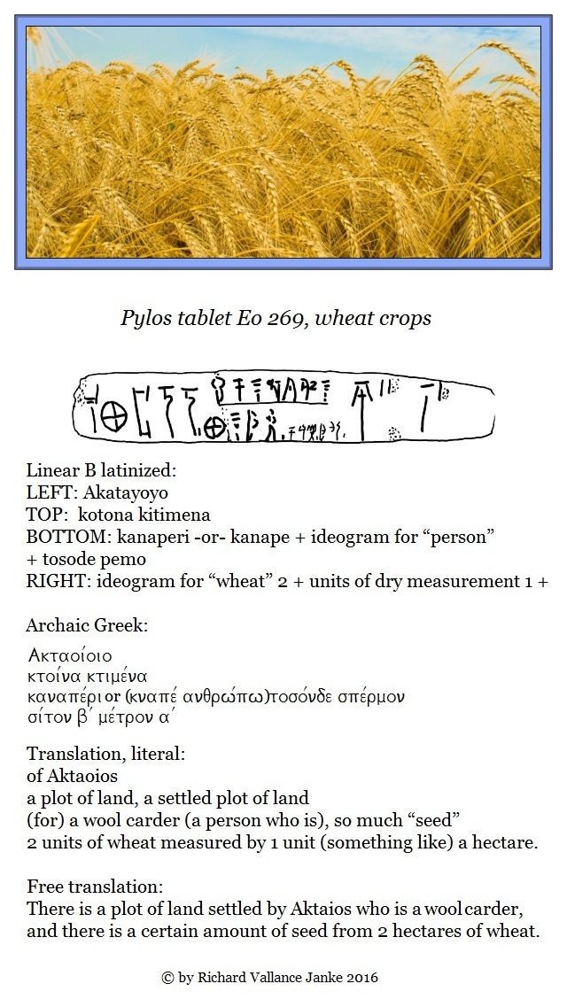 Pylos tablet Eo 269 wheat crops