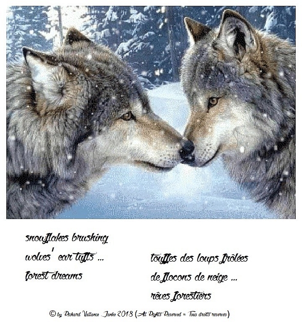 haiku snow wolves620