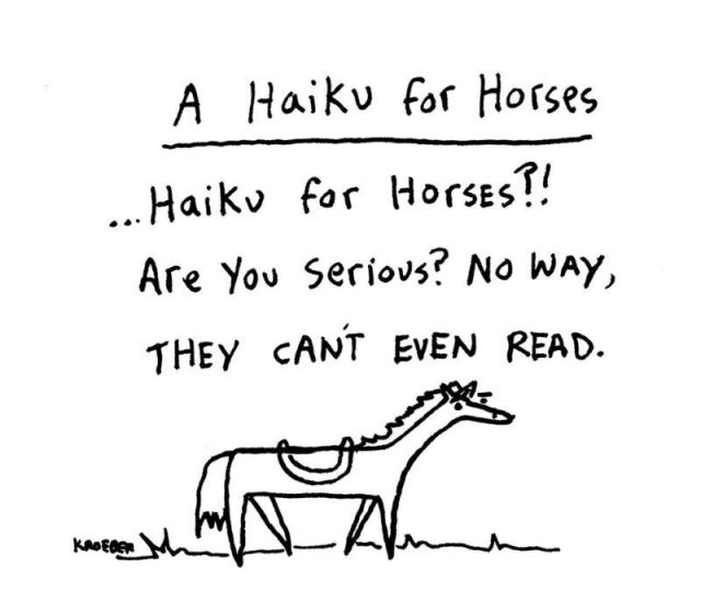 Hysterically funny haikus I found on the Internet! These will make ...